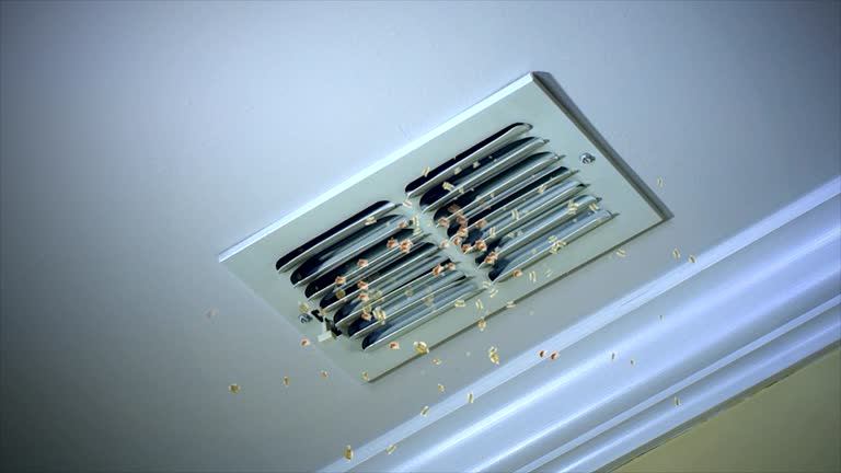 Best Duct Cleaning for Homes  in Bainbridge, GA